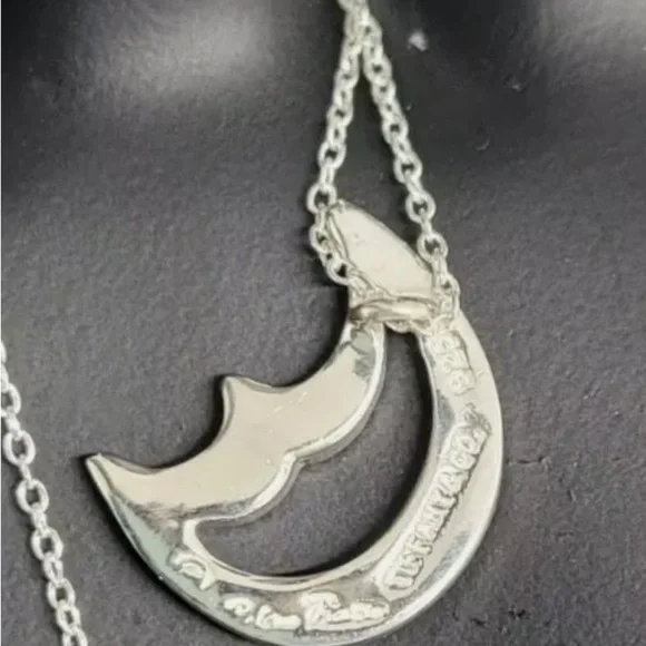 Tiffany & Co. Silver Moon Necklace - Picture 3 of 11